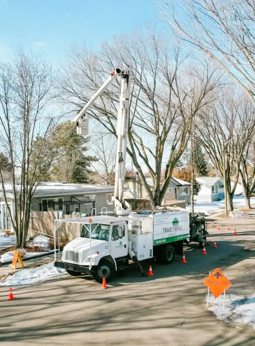 Municipal Crane Trim
